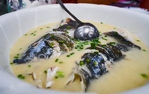 Satisfied Wild Fish House